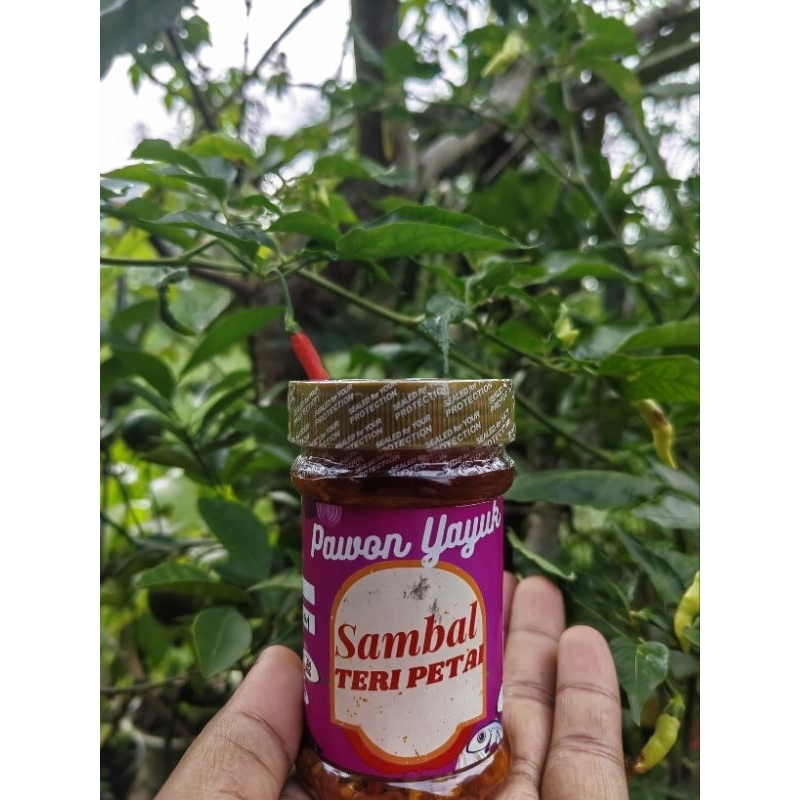 

SAMBAL TERI PETAI