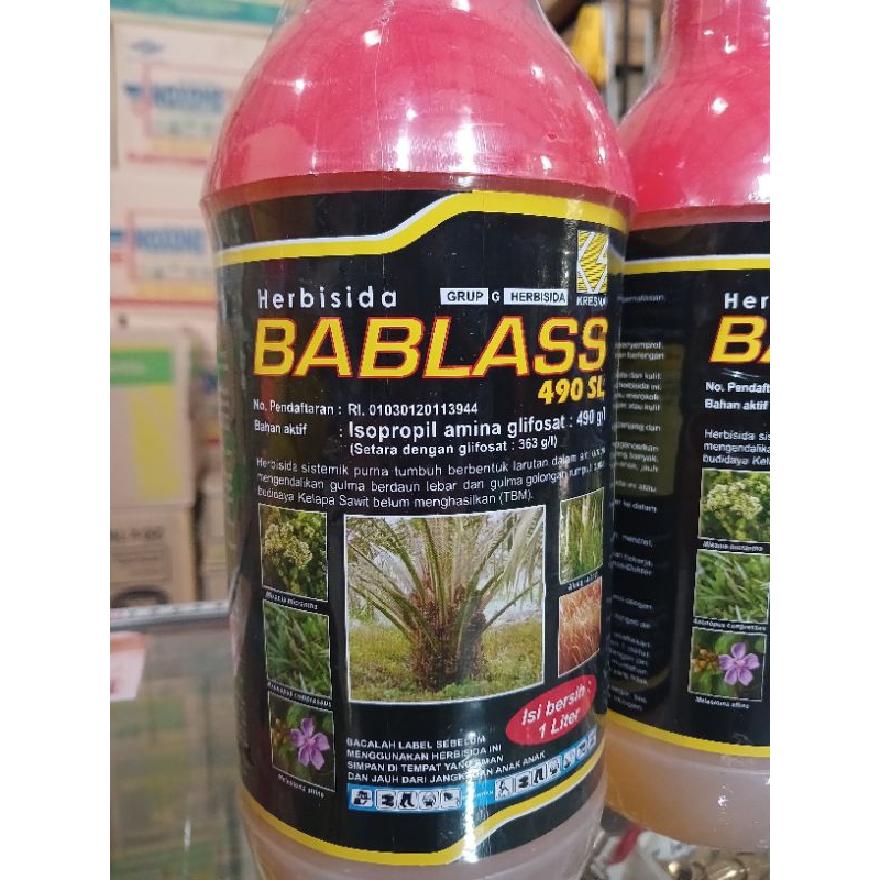 HERBISIDA BABLASS 490SL