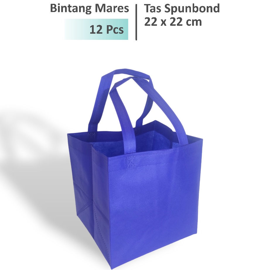 

Hanya Untuk Anda 12 Pcs Tas Hajatan 22x22 Tas Box Nasi 22x22 Tas Spunbond