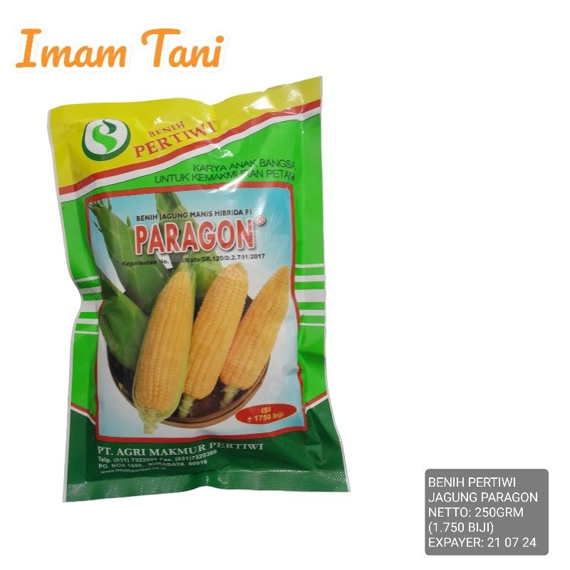 Paragon-JagungManis-BenihPertiwi