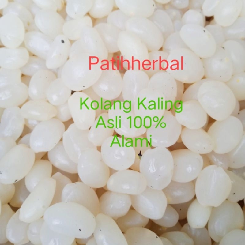 

Kolang Kaling super Asli Alami dari pohon Aren per 500 gram