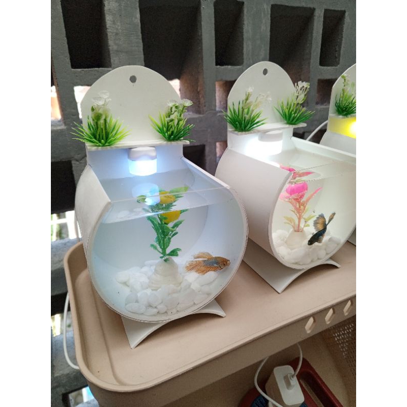 Aquarium Mini Akrilik Pasang Dinding Unik Untuk Cupang