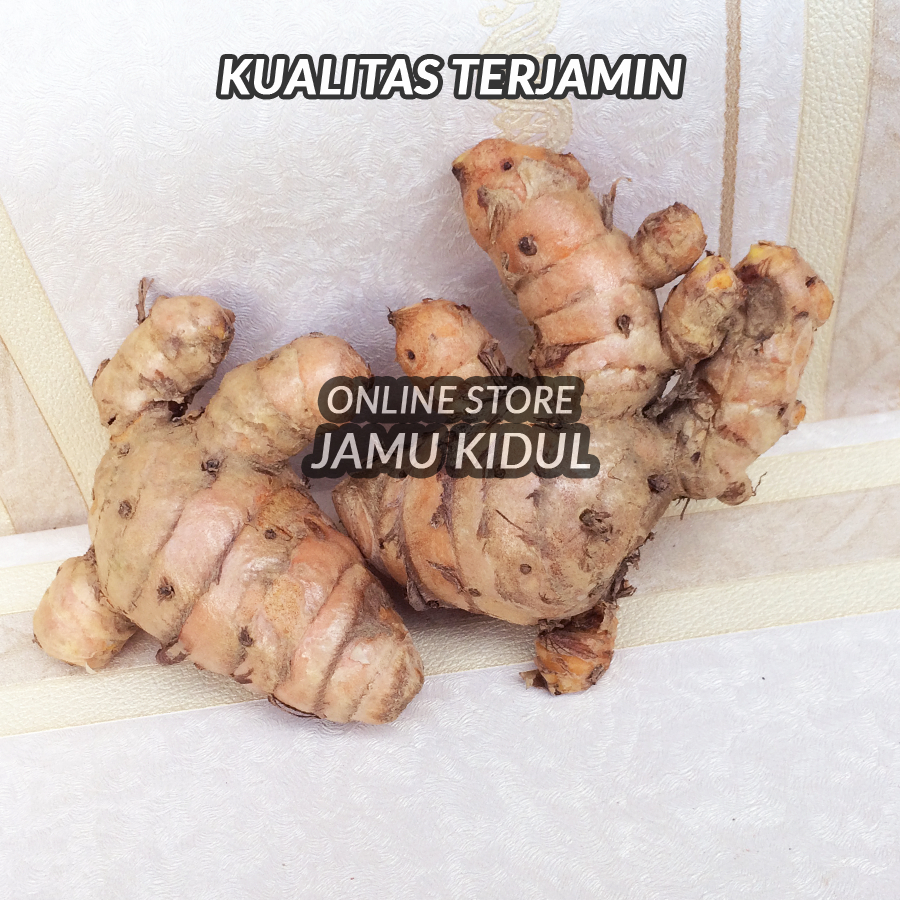 

Temulawak Segar 500gr Organik dari Gunung Kidul