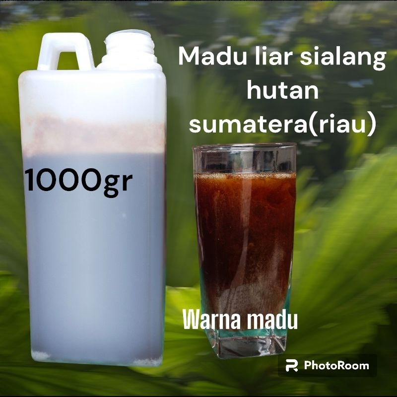 

Madu Akasia Hutan (Akasia CRASSICARPA ) RIAU 1kg