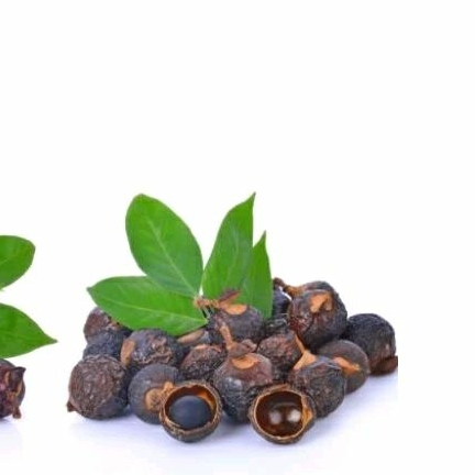 500 gram lerak biji buah lerak