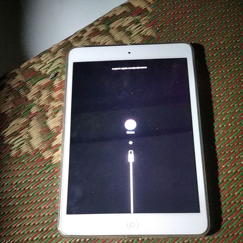 ipad mini 2 128gb minus