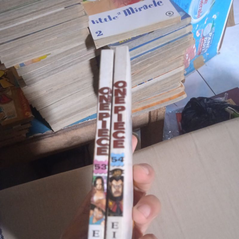 one piece vol 53 & 54