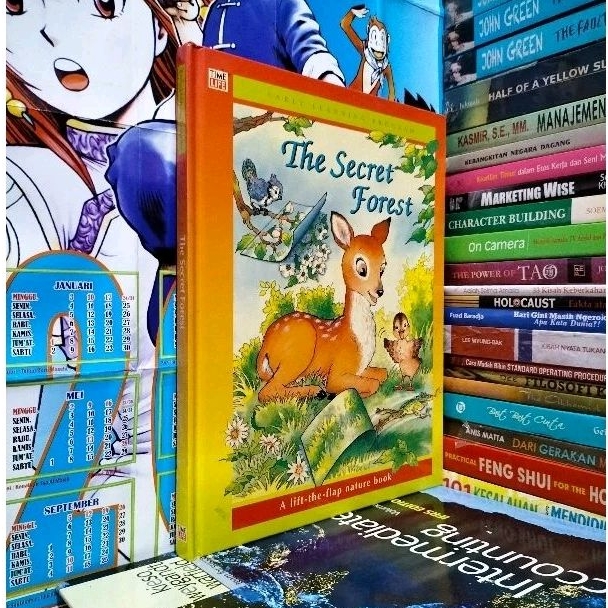 EARLY LEARNING PROGRAM THE SECRET FOREST