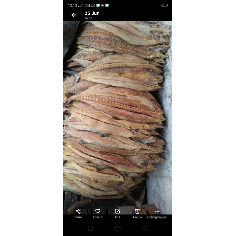 

ikan talang tenggiri