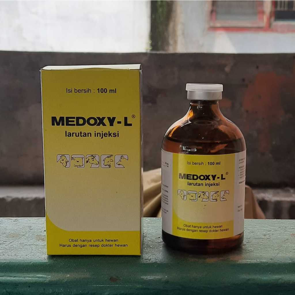 Medoxy L Antibiotik Untuk ternak isi 100ml
