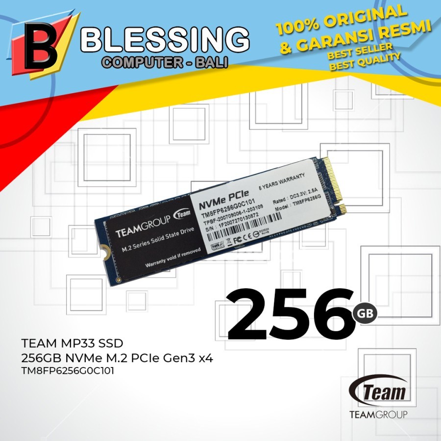 SSD TEAM 256GB MP33 M.2 2280 NVME TM8FP6256G0C101 / SSD 256GB