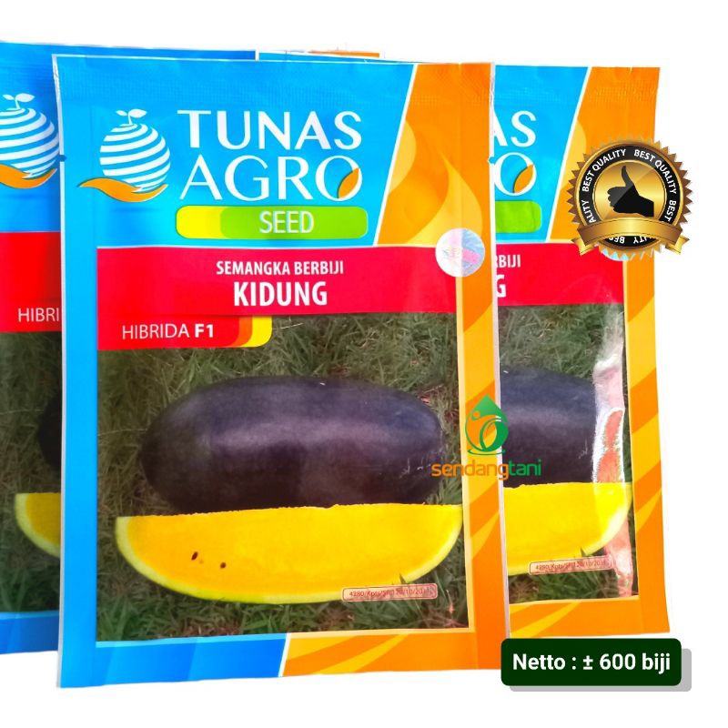 Semangka KIDUNG F1 20 gr Benih Bibit Inul Kuning Berbiji dari Tunas Agro