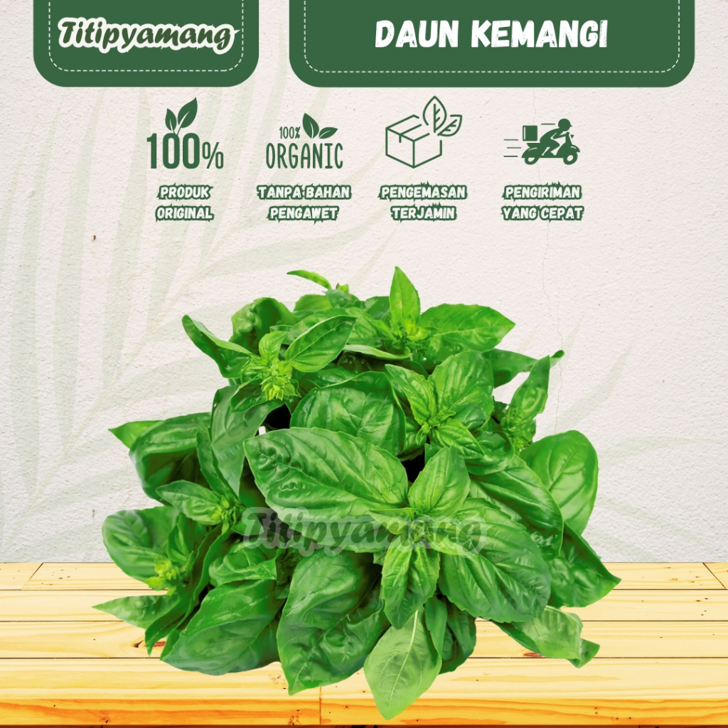 

Daun Kemangi Segar | Daun Surawung