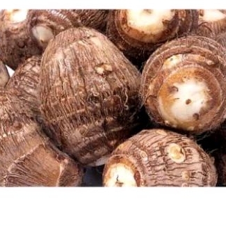 

Umbi talas pulen segar 1 kg,ubi talas kimpul