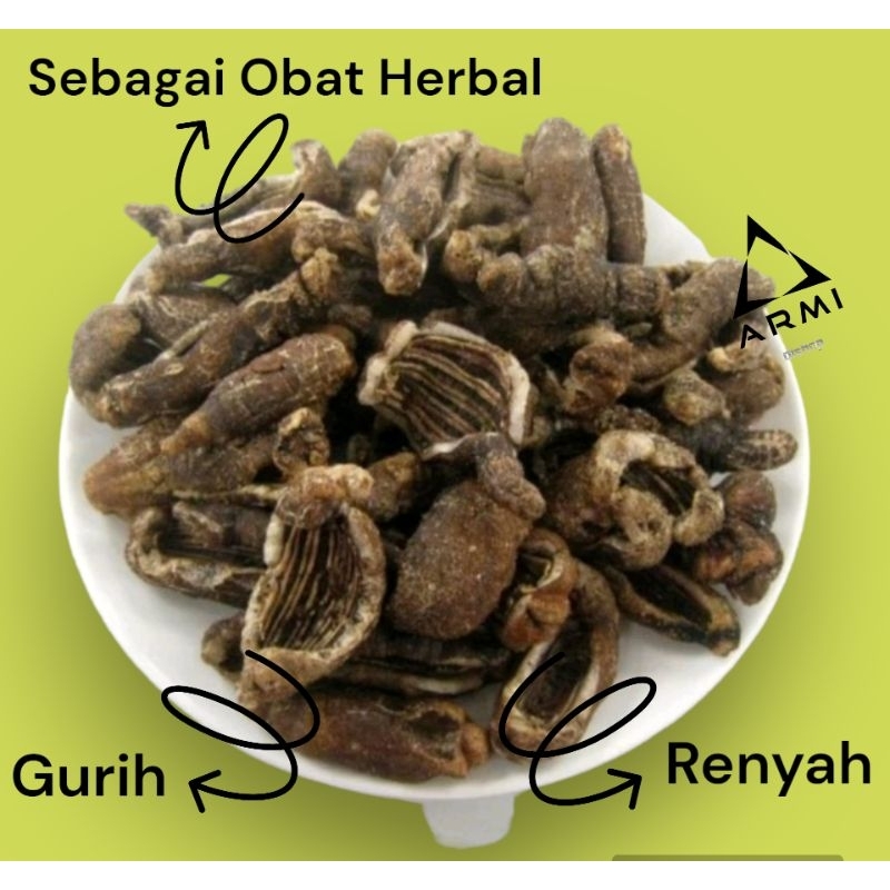 Kerupuk Teripang Siap Makan 100 Gram / Keripik Teripang Terung / Ikan Laut Murah