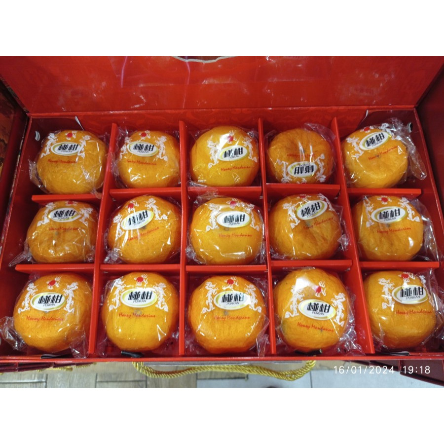 

JERUK PONKAM TAIWAN 15'' - KOPER JENDELA ( GIFT BOX IMLEK )