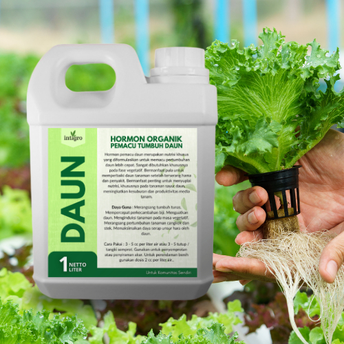 Berkahbaroka28 Pupuk Daun Cair / Pupuk Daun Cabe Padi Bawang Merah Aglonema / Pupuk Daun Bawang /