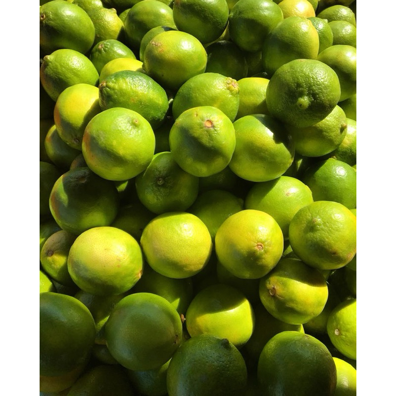 

JERUK NIPIS 500 gr