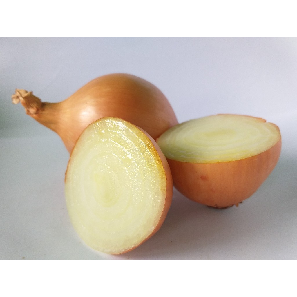 

Bawang Bombai