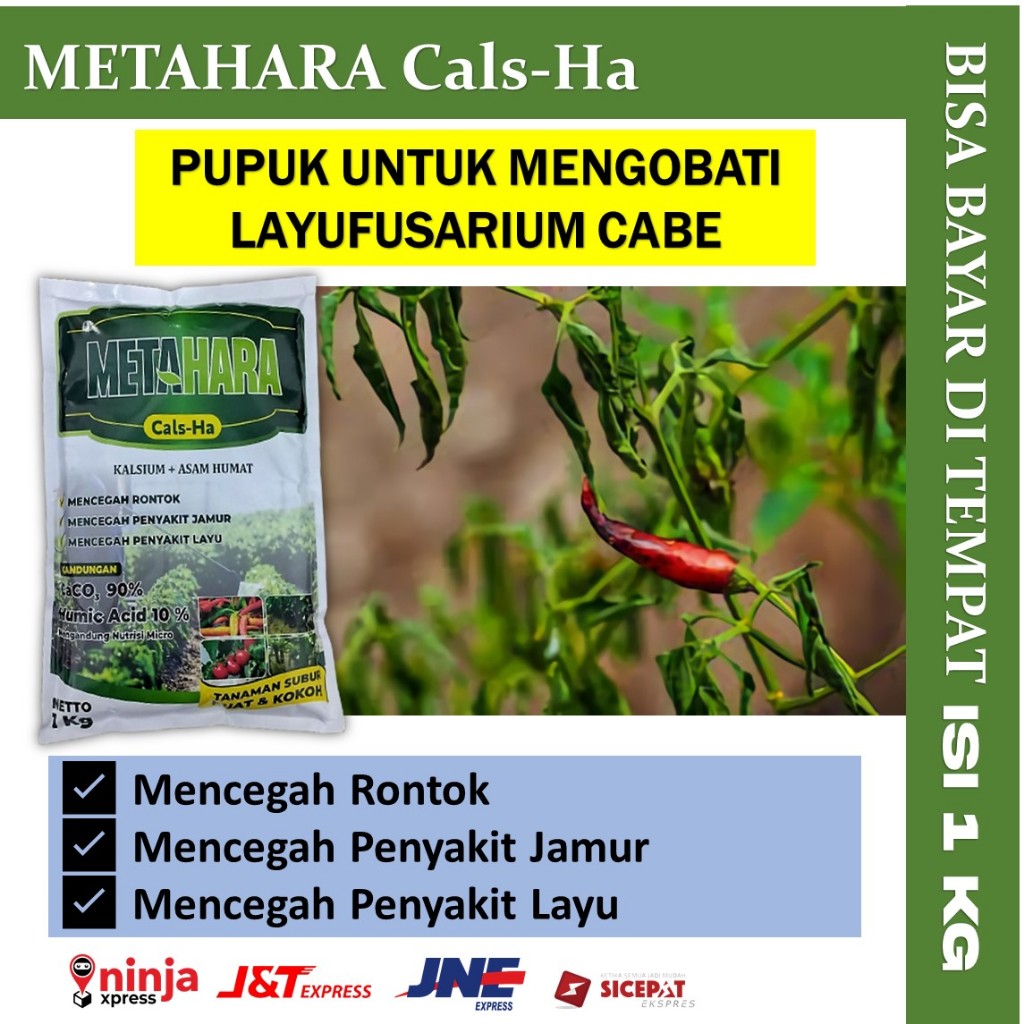 PROMO Obat Semprot Daun Cabe Keriting metahara 1kg Pupuk Kalsium Hama Anti Virus Bulai Cabai Daun Ku
