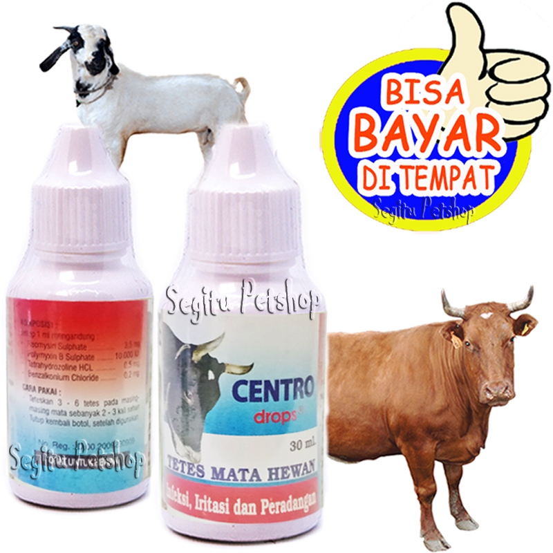 Obat Mata Sapi Kambing Penghilang Sakit Bengkak Iritasi Centro