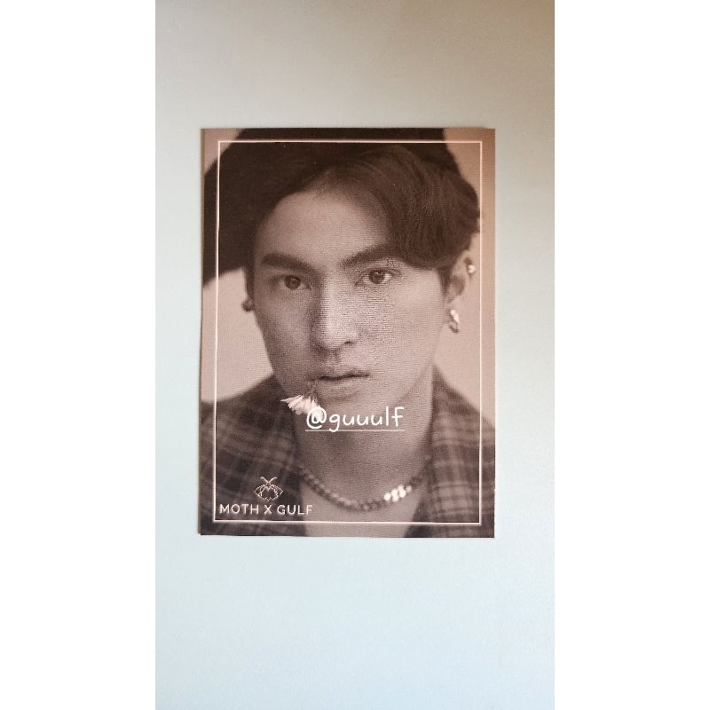 Gulf Kanawut Moth Postcard Photocard