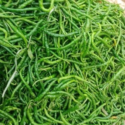 

Cabe keriting ijo 500g