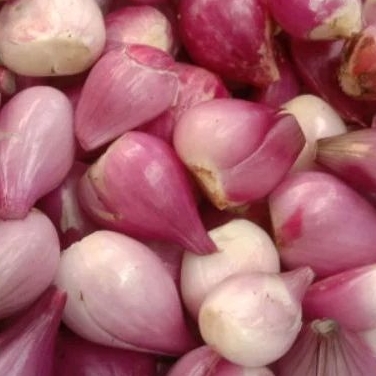 

Bawang Merah kupas 500g
