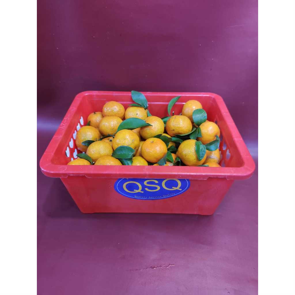 Shantang Keranjang Eco Pack Jeruk Shantang Jeruk Mini 2Kg Fresh