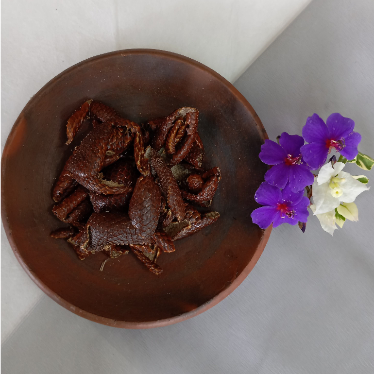 

Simplisia Kulit Salak