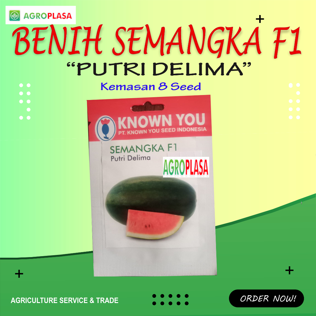Benih Semangka F1 PUTRI DELIMA Known You Seed