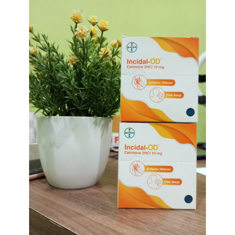 incidal-od 10mg box 32 kapsul / obat alergi