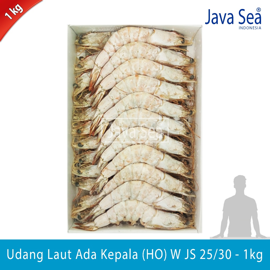 

Udang Laut Utuh Ada Kepala HO W JS 25/30 pack 1kg Java Sea