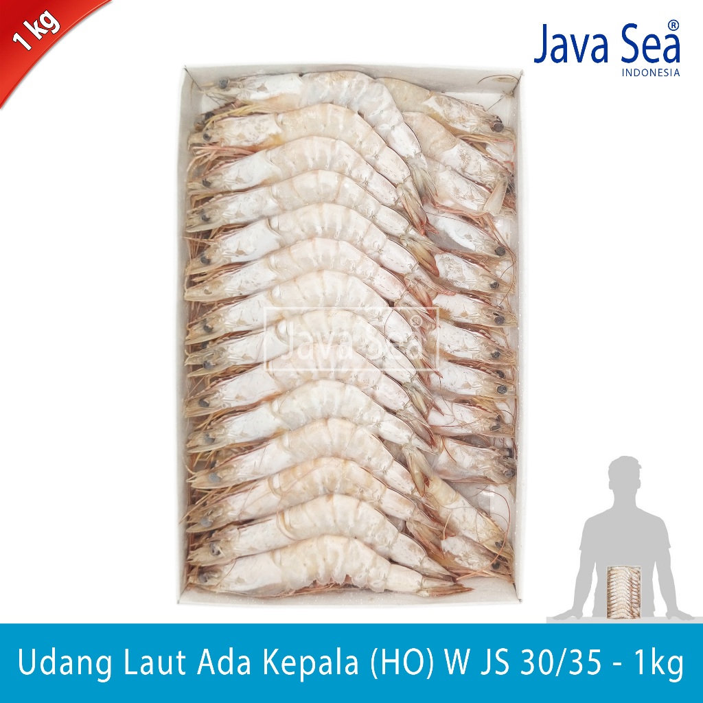 

Udang Laut Utuh Ada Kepala HO W JS 30/35 pack 1kg Java Sea