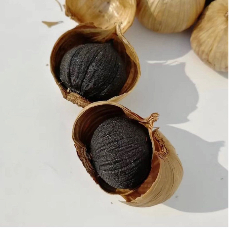 

SOLO BLACK GARLIC BAWANG HITAM TUNGGAL BAWANG HITAM FERMENTASI