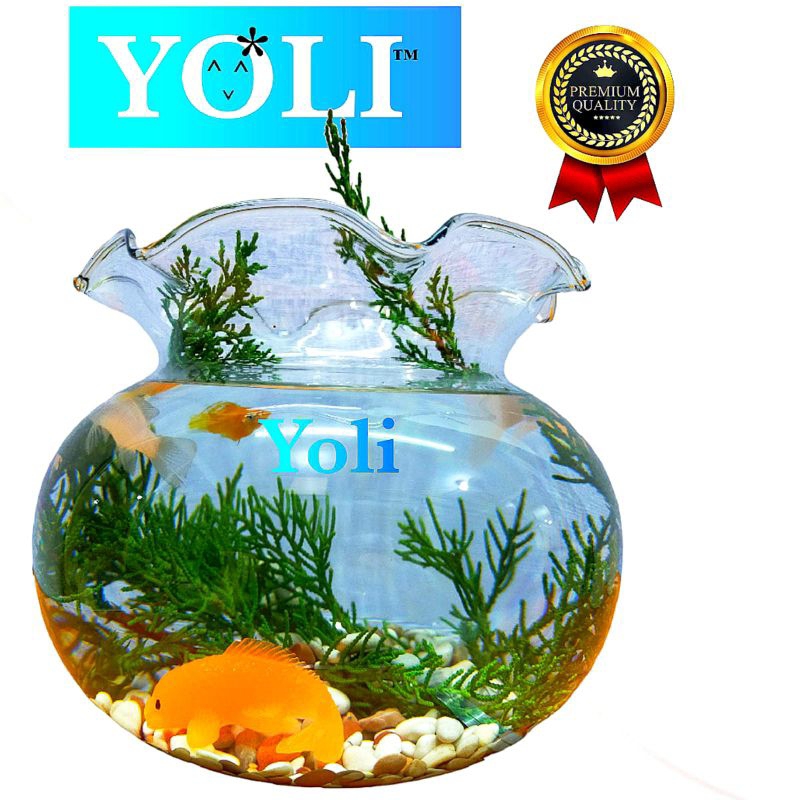 Yoli - Aquarium Bulat Kaca (3,7L) - Aquarium - Aquarium Kaca - Aquarium Cupang - Aquascape