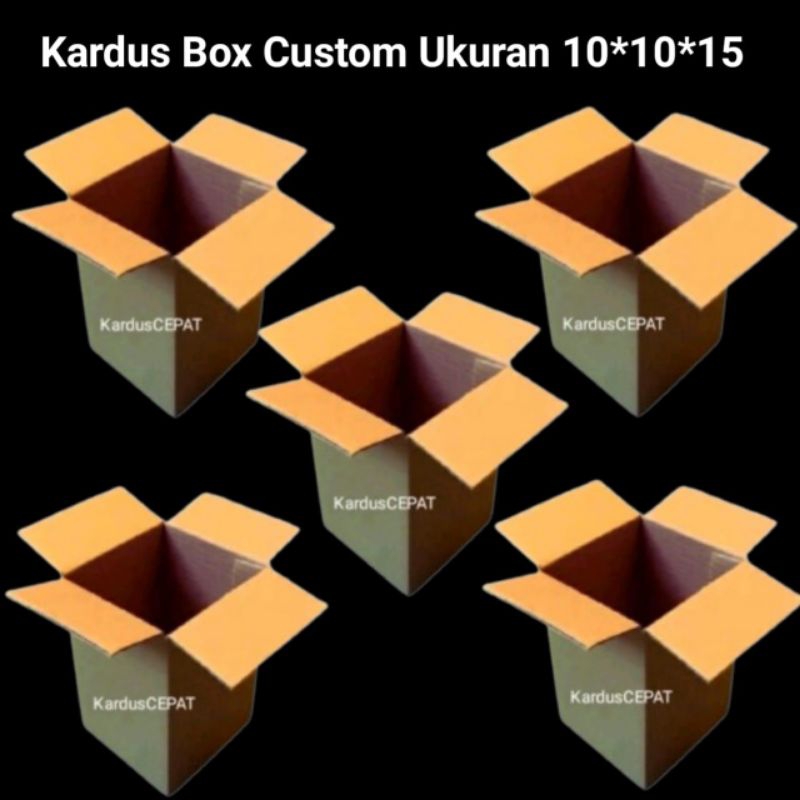 

kardus packing 10*10*16 polos