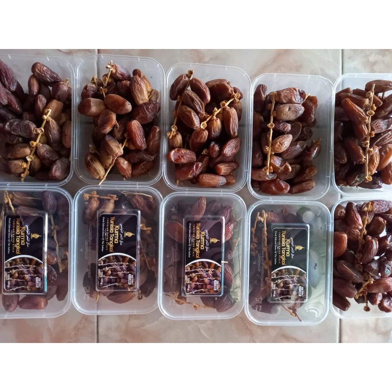 

kurma tunisia tangkai