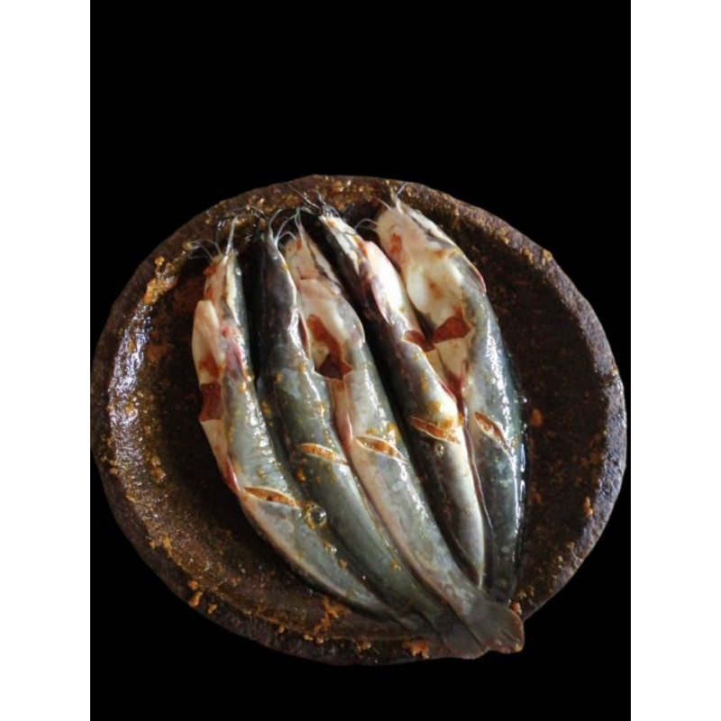 

lele bumbu siap masak
