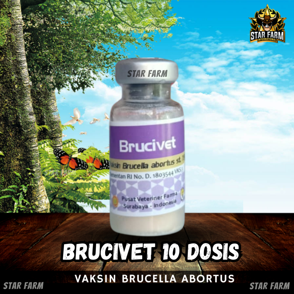 Brucivet Vaksin Brucella Abortus 10 Dosis Strain - Star Farm
