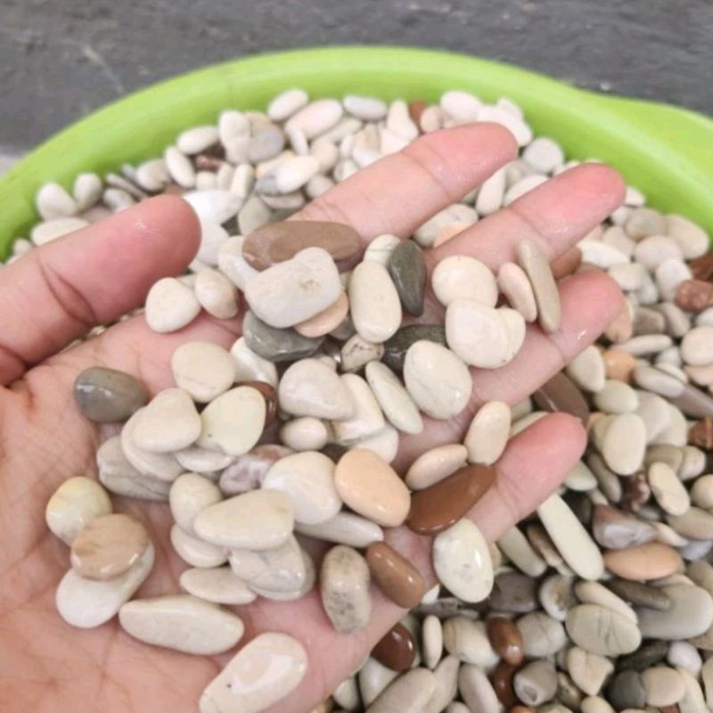 Batu Hias Batu Kolam 250gram