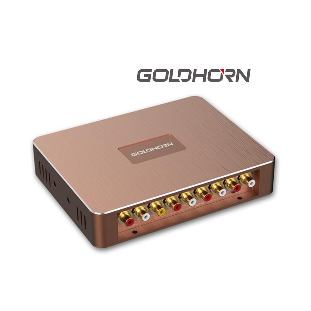 Goldhorn A10 DSP Processor 6-Channel built in Amplifier 4-Channel