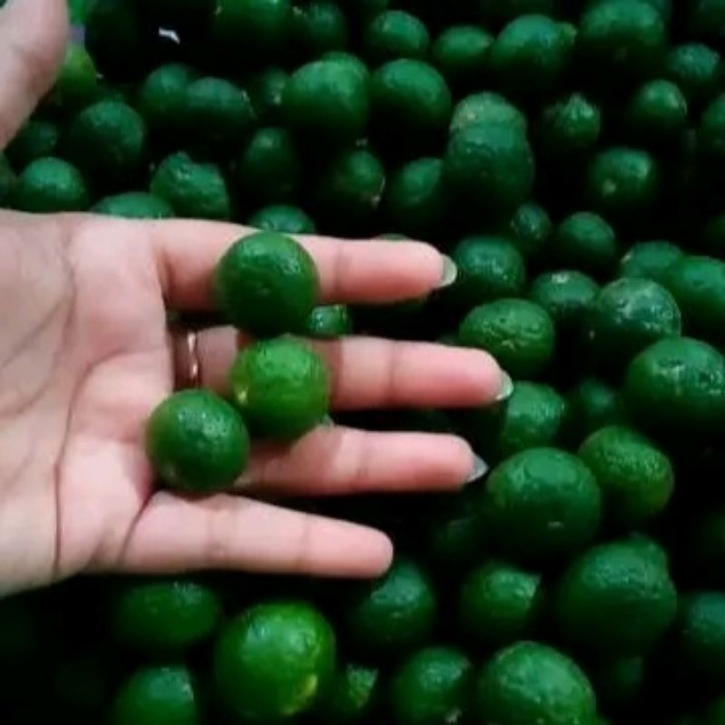 

[READY STOK] Jeruk Limau kiloan | Jeruk Limo 1kg | Jeruk limau murah