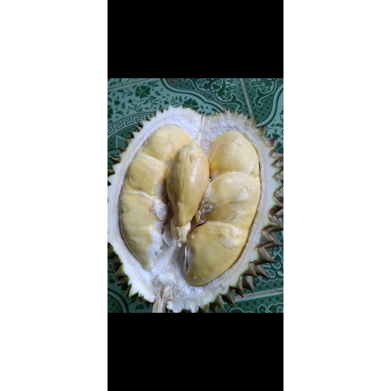 

Durian henol