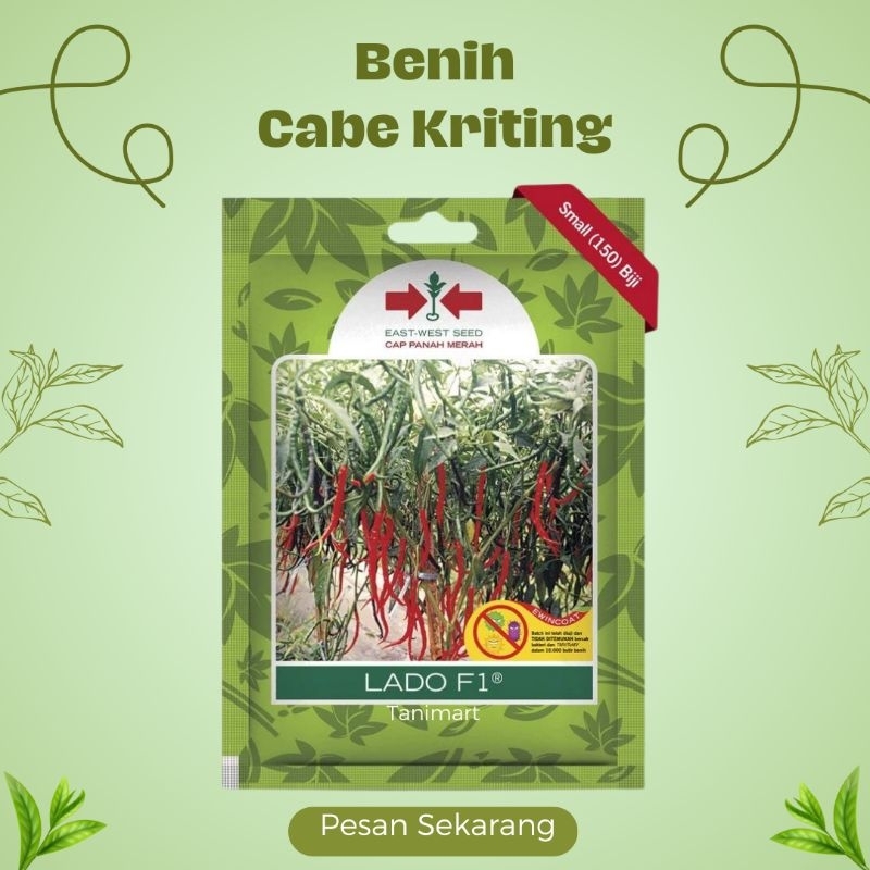 Bibit Benih Cabe Keriting LADO F1 Small Pouch