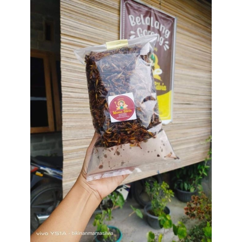 

OMBYOKAN PLASTIK Belalang Walang Utis Murah Banyakk BEBAS PILIH RASA GURIH PEDAS GURIH PEDAS MANIS