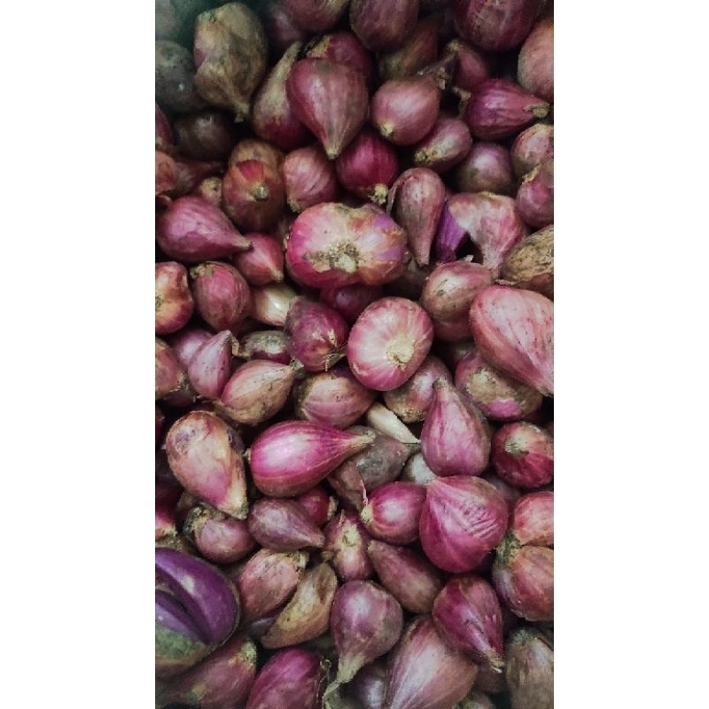 

Bawang Merah