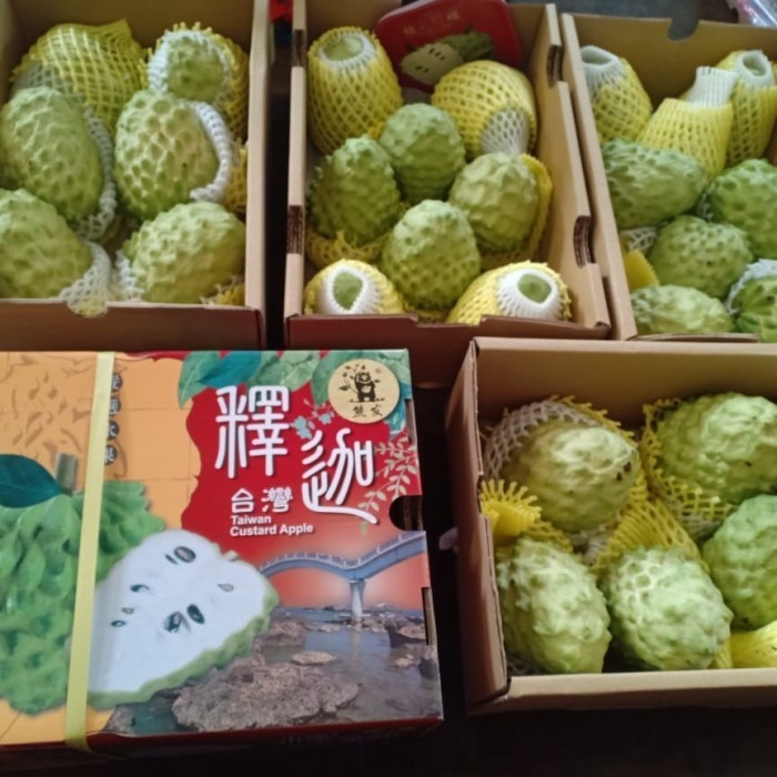 

Buah Srikaya Taiwan Jumbo Super 6 kg / box