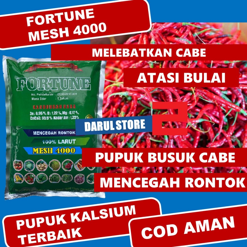 Pupuk Cabe Agar Berbuah Lebat Cegah Busuk Buah Daun dan Akar FORTUNE Atasi Bulai Daun Cabe Rawit Saa