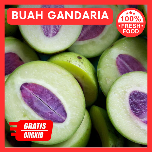 

Buah gandaria segar langka 1kg buah Jatake buah Kundang campuran sambal